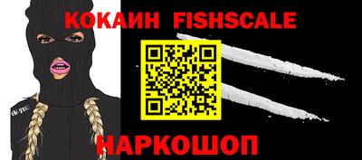 индика Партизанск