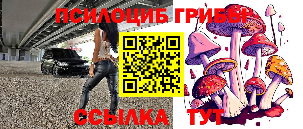 купить наркоту  Галлюциногенные грибы Psilocybine cubensis  Псилоцибиновые грибы мухоморы  Вход с VPN  Сызрань 